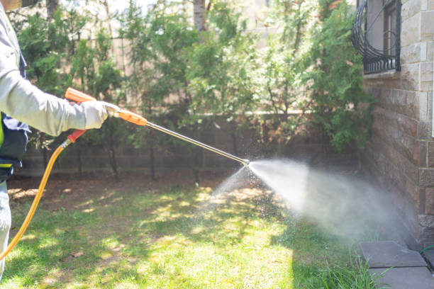 Wasp Removal Services in Walton, KY