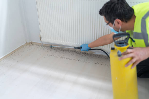Best Pest Removal Services  in Walton, KY